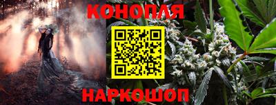 a pvp Гатчина