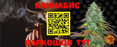 a pvp Гатчина