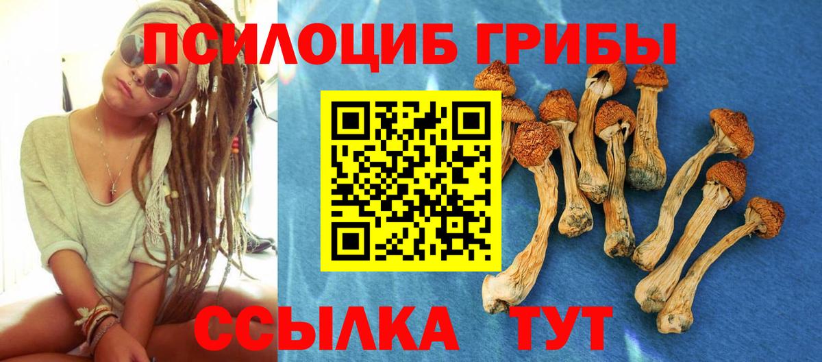 Галлюциногенные грибы Psilocybine cubensis Шелехов