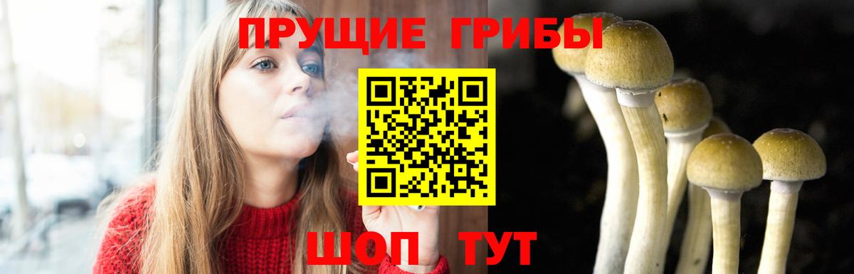 Псилоцибиновые грибы мухоморы  Псилоцибиновые грибы Cubensis  купить наркотик  Вход с VPN  Шелехов 